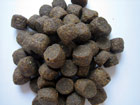 Kroketten