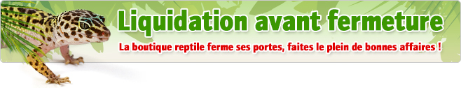 Liquidation