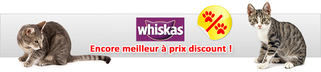 Croquettes Whiskas Pour Chat A Prix Discount Sur Bitiba Fr Croquettes Whiskas Pour Chat A Prix Discount Sur Bitiba Fr