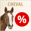 Offres spéciales pour cheval