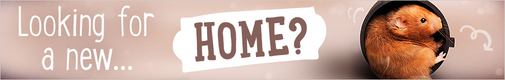 pets at home gerbil cage