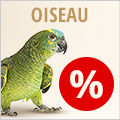Offres spéciales pour oiseau