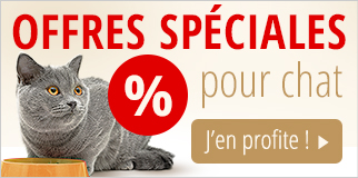 Offres spéciales pour chat 