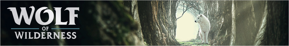 Wolf of Wilderness hondenvoer