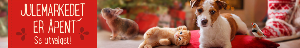 Julemarkedet er åpent!