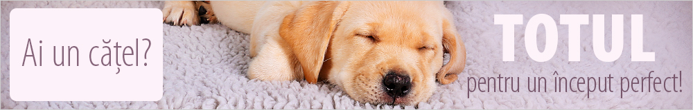 Hrana si accesorii pentru catei