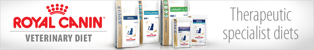 Royal Canin Dry Cat food