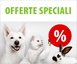 Offerte speciali