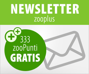 5% 100 Punti Newsletter