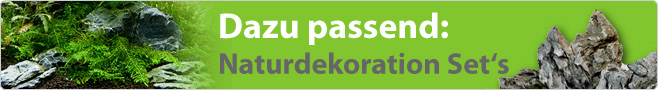 Naturdekoration Sets