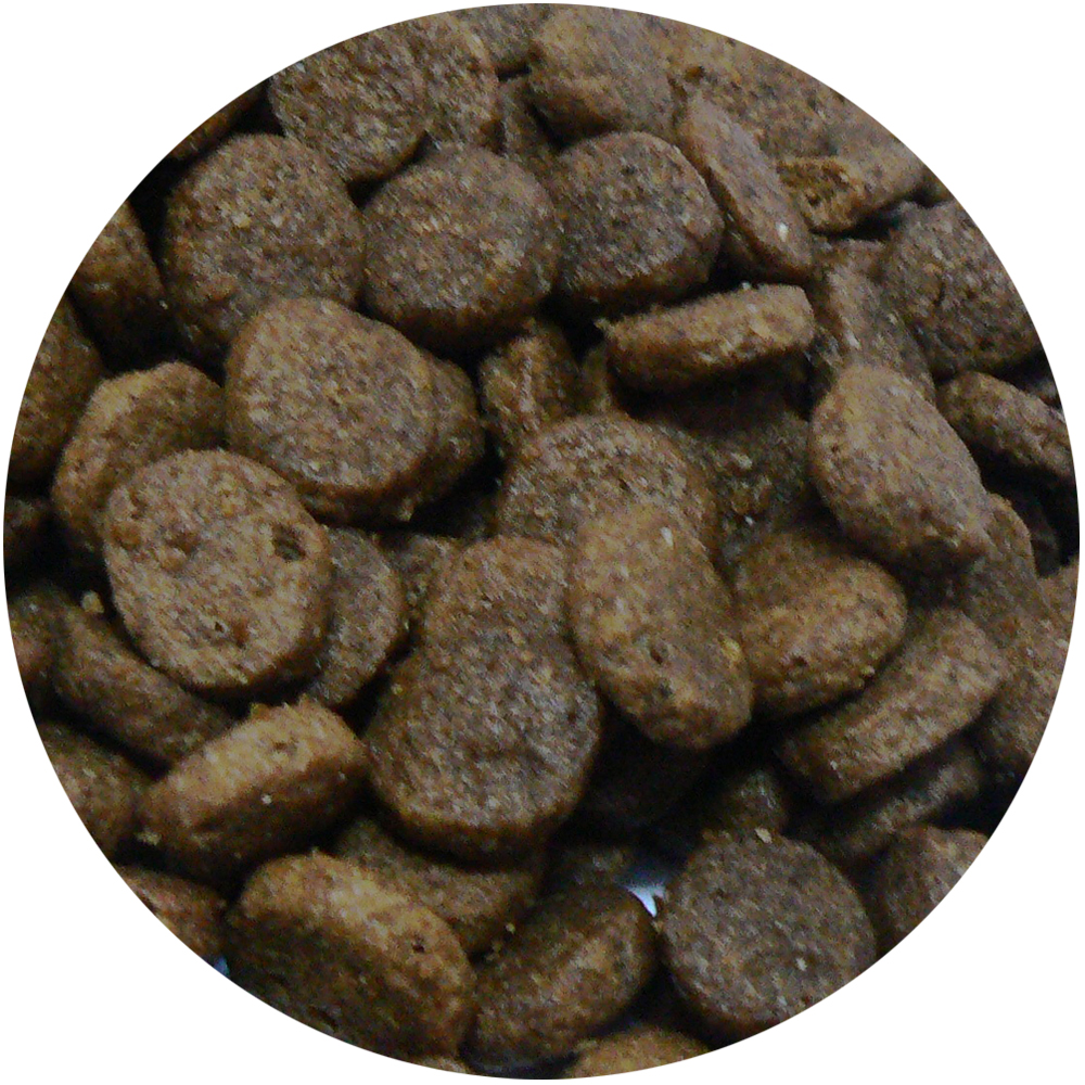 croquettes pour chien sans céréales